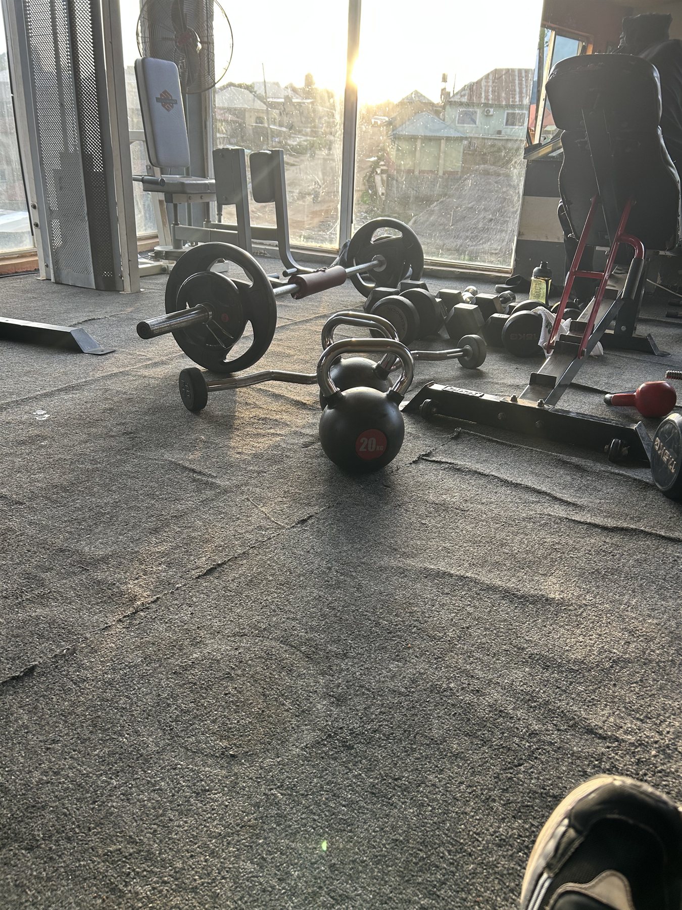 Barbell and weight stations by the sunlit window at G:Lite Hub